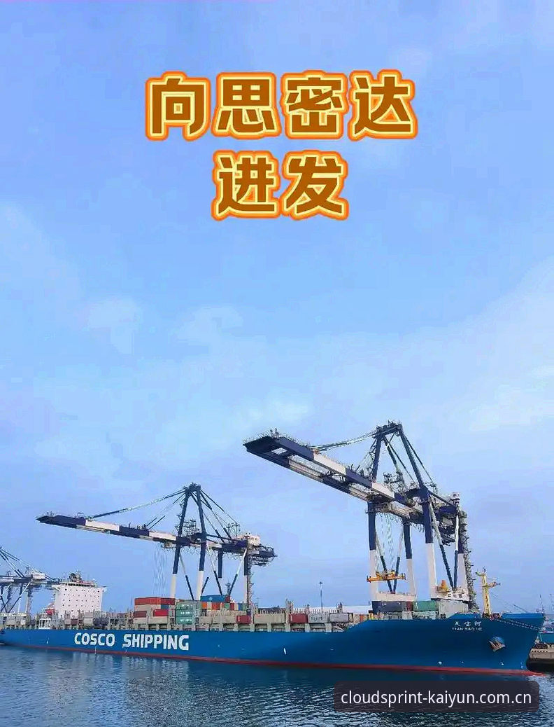 7个关键维度告诉你：开云体育怎么样2026最新版本值得升级